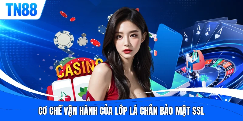 Cơ chế vận hành của lớp lá chắn bảo mật SSL