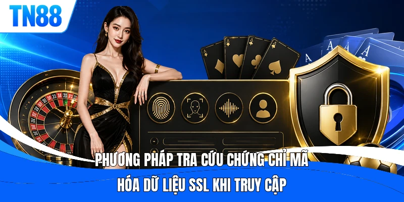 Phương pháp tra cứu chứng chỉ mã hóa dữ liệu SSL khi truy cập